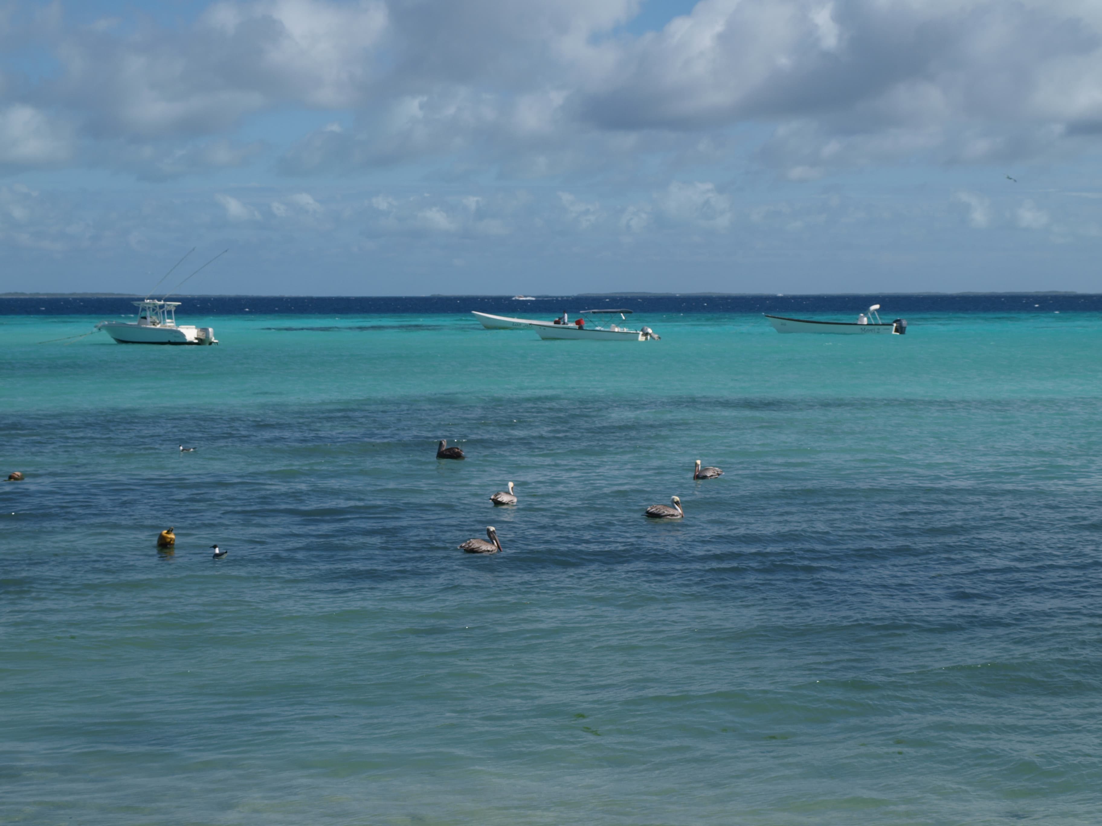 Los Roques — imagen 1