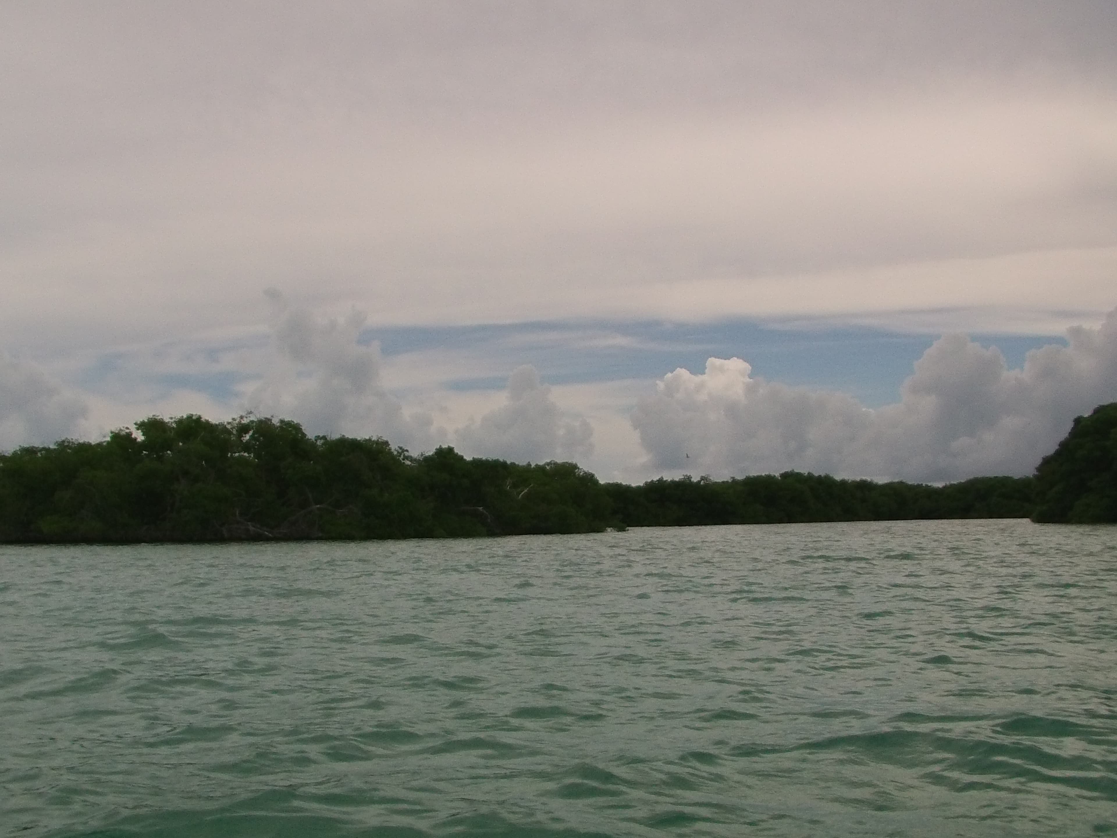Los Roques — imagen 2