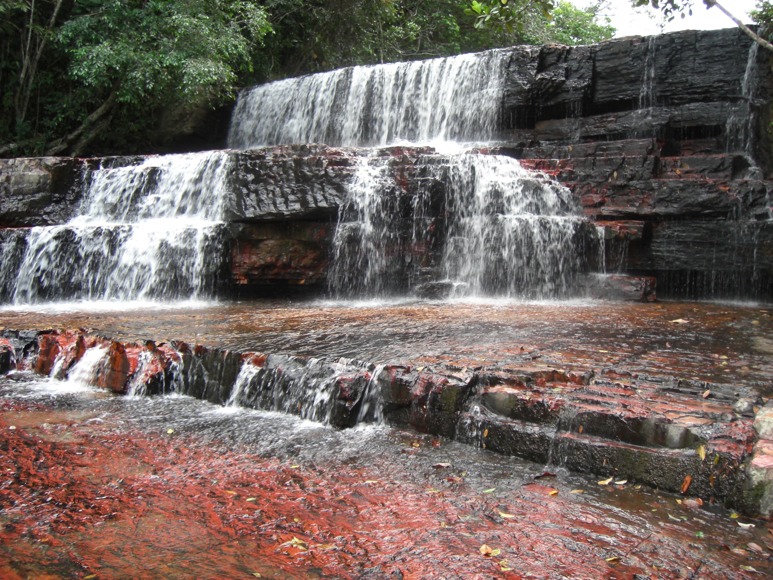Gran Sabana y Roraima — imagen 3