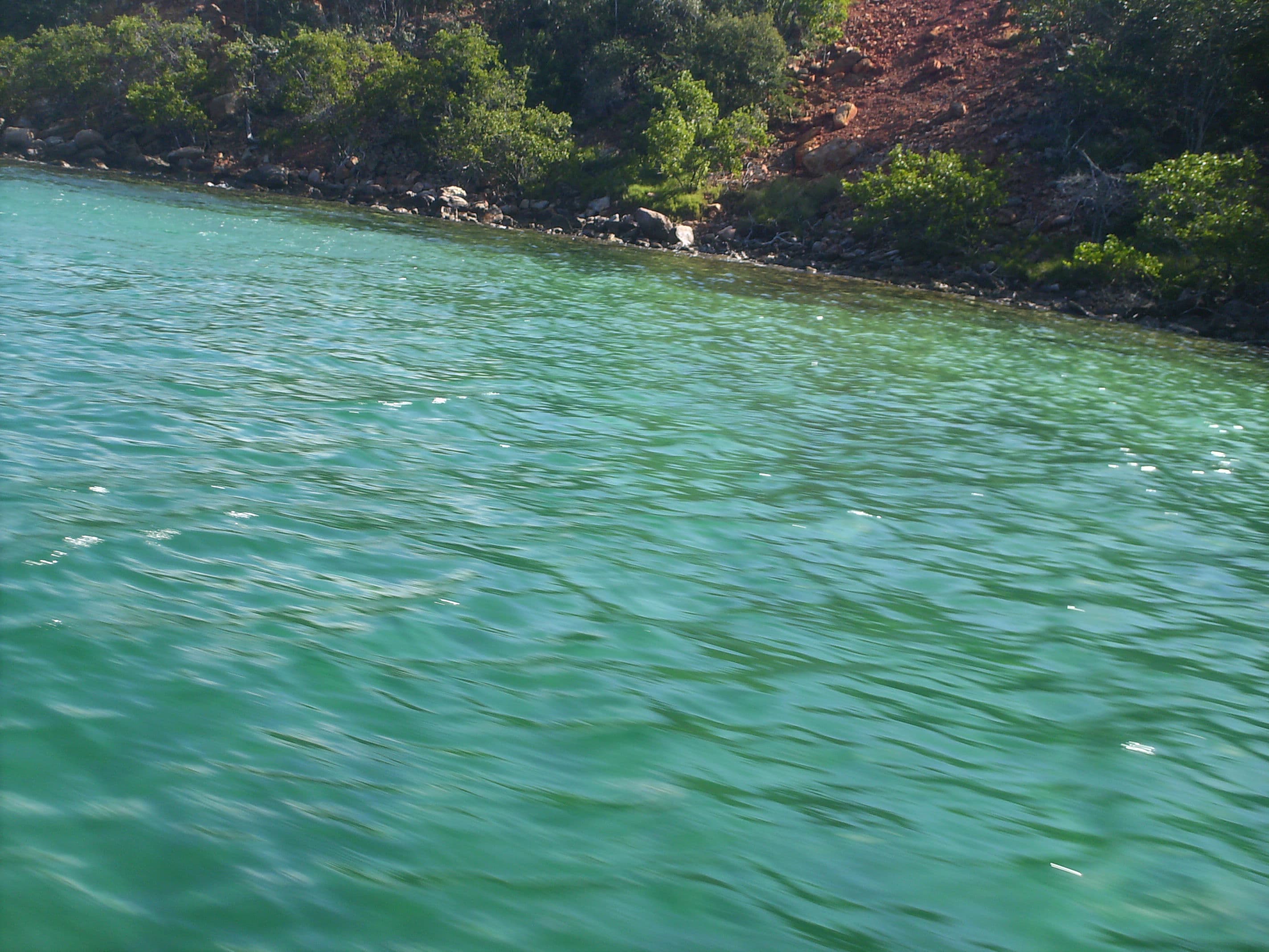 Mochima — imagen 5
