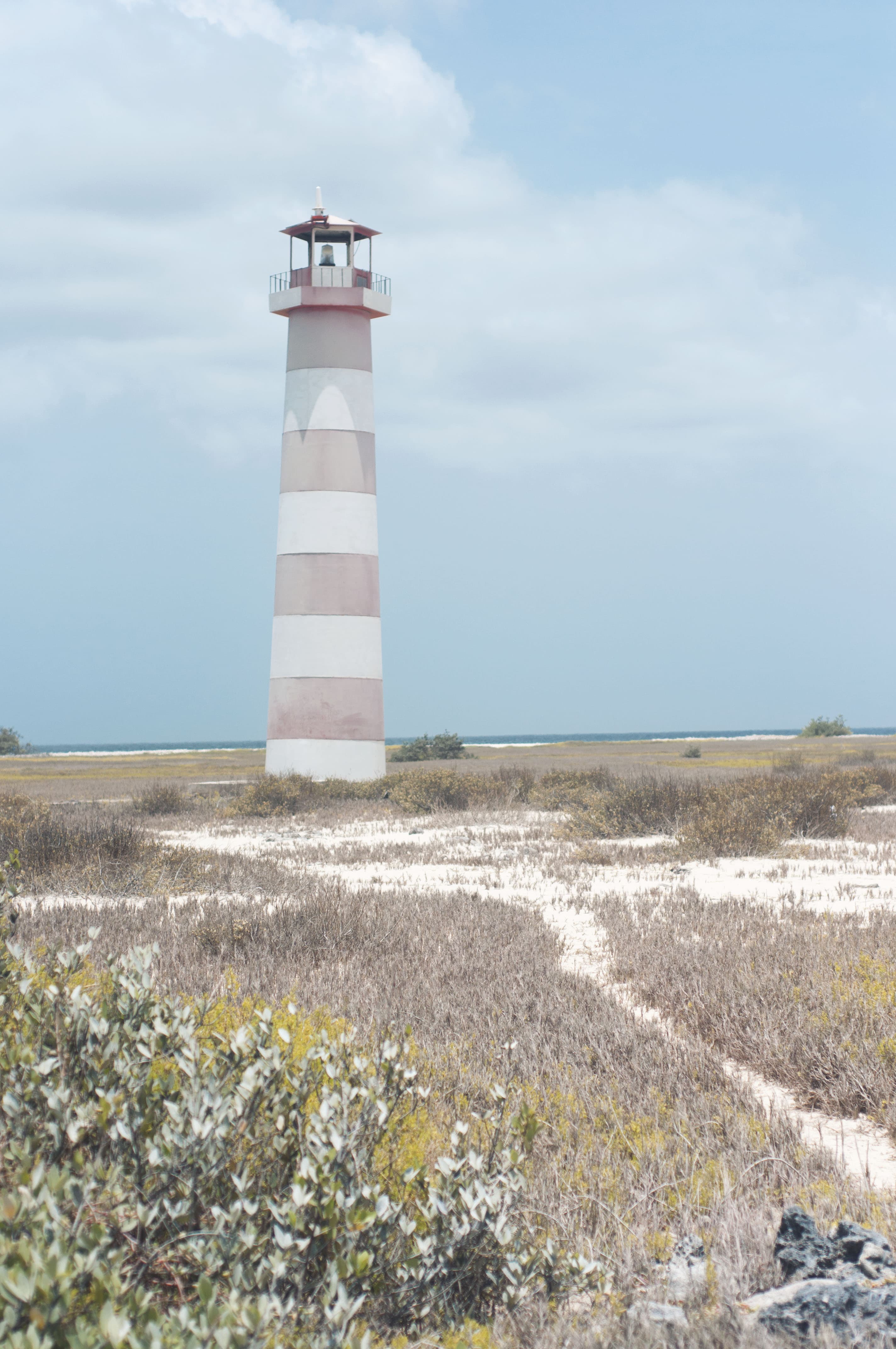 La Tortuga — imagen 2